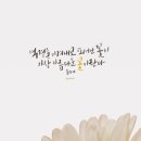 뮬란캘리