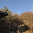 태백산한우 이미지