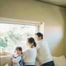 스테이그라피 이미지