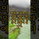 건강에 좋은 글 이미지