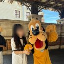 굿즈도샵 | 도쿄 일주일 여행!/7박8일 일정 총정리