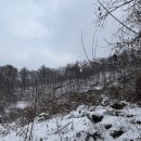 소르피아 양주 이미지