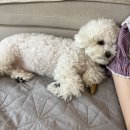 (주)이든파마 | 임신 10주차 리오라여성의원 졸업 후 창원 한마음병원으로 전원하기