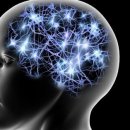 시간토끼 이미지