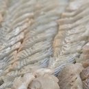 봄바스 민박 이미지