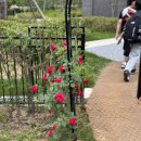 [일상] 오송아파트 야시장 후기 - 오송파라곤3차야시장