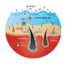 (주)쿠보텍