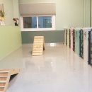 펫앤스토리 이미지