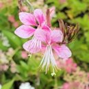 무료상담 행정사사무소 이미지