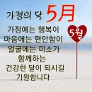 복싱멘토스쿨 이미지