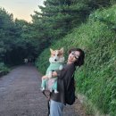 제주타이펜션 | 한여름의 제주🏝️