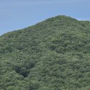 도군로-1 Daum카페