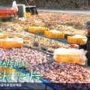 동사리경로당 이미지