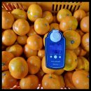 진정농장 이미지