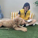 회원종합동물병원 이미지