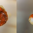 부산어묵