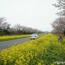 한림프라자 이미지