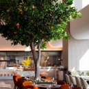 대덕대로(유성-6) 이미지