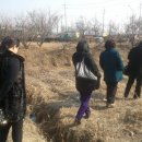 정정숙농장 이미지