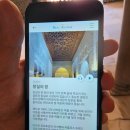 왕궁중학교 | 스페인여행) 세비야 알카사르궁전 투어