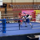 신순철 복싱클럽(보라점) 이미지