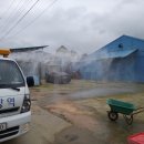 자정농장 이미지