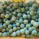 종주농장 이미지