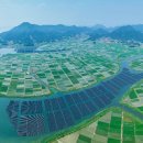 푸른 태양광발전소 이미지