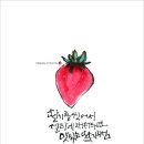 캘리그라피와먹그림