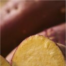 해남농장2 이미지