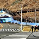 석양을 품은 물고기 이미지