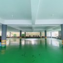 이조장어 이미지