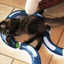 용강동물병원 이미지