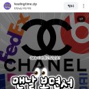 진디자인