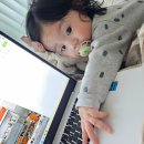 브론즈맥파이 | 짱죽 체험팩 중기2 한우소고기김죽 귬이네 공동육아 생애 첫 딸기 점퍼루 브론즈맥파이 내돈내산 솔직후기