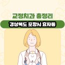 효자효치과 | 경상북도 포항시 효자동 교정치과 총정리