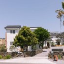 머무른채 이미지