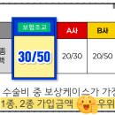 원*종