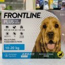 안중온누리약국 이미지