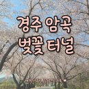 암곡와동 이미지