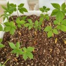 진안역사박물관 이미지