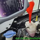 오토오아시스 타임빌라스 수원점 이미지