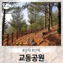세영공원 농구장 | [우리동네이야기] 산책 이보다 좋을수 없다, 교동공원