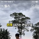 골프 인팩트 자세 이미지
