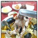 코리안손짜장 이미지