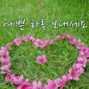 민사랑