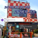 [고성 여행] 고성 서핑 체험 강습 후기 캘리포니아 감성 카페까지! 카페고고비치&고고비치서프