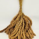 다두농장 이미지