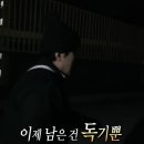 영광모터스 | [직관] 왔다네 정말로 아무도 안 믿었던 사랑의 4연승