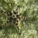 독도세탁 이미지